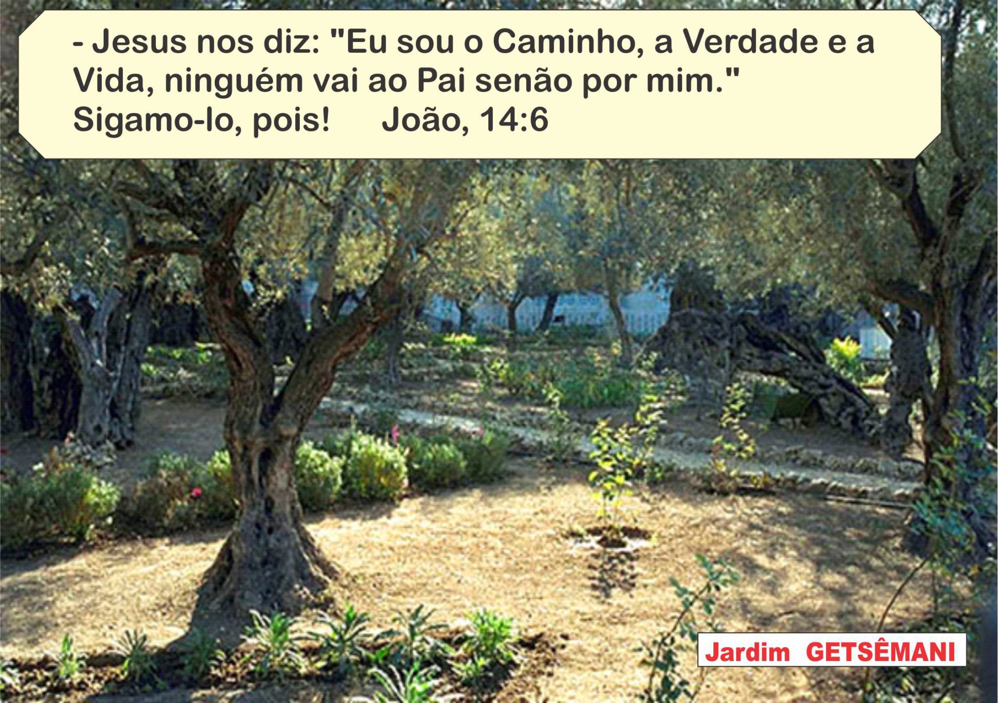 Pelos Caminhos de Jesus Casa Espírita de Juiz de Fora